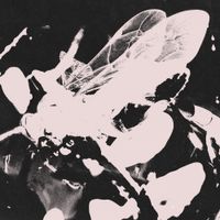 Nocturnerror - Last Seconds Of Resentment Required