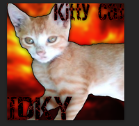 ID KY - Kitty Cat