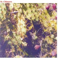 Sr. Chinarro - Sr. Chinarro