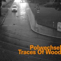 Polwechsel - Traces of Wood