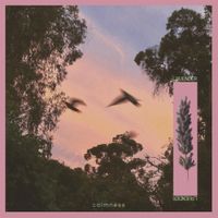 Calmness - Lavender