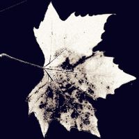 Norkoji - Stupad