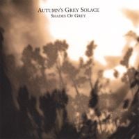 Autumn's Grey Solace - Shades Of Grey