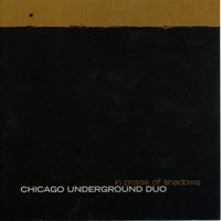 Chicago Underground Duo - In Praise of Shadows
