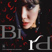 Kim Nam Joo - Bird