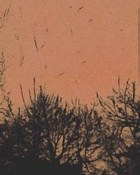 life - demo three