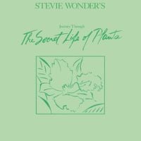 Stevie Wonder - Stevie Wonder's Journey Through the Secret Life of Plants
