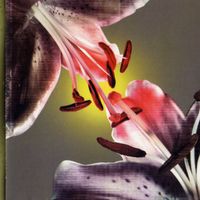 Cor Fuhler / Gert-Jan Prins - The Flirts