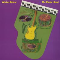 Adrian Belew - Mr. Music Head