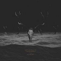Bartosz Dziadosz & Tomasz Mreńca - Black Lake