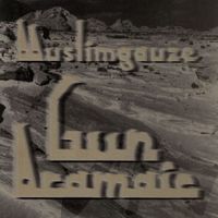 Muslimgauze - Gun Aramaic