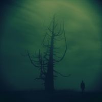 Pencarrow - Growth In The Absence of Light