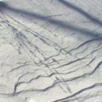 Pedestrian Deposit - Kithless
