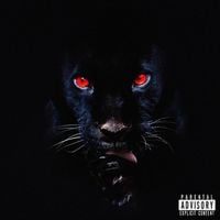 RJ Payne - He's A Fuckin Animal