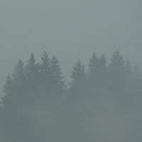 Max Loderbauer - Donnerwetter