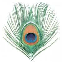 XTC - Apple Venus, Volume One