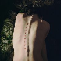 Gy&eth;a Valt&yacute;sd&oacute;ttir - Evolution