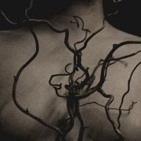 Fawn Limbs - Sleeper Vessels