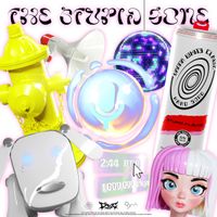 dsg - THE STUPID ZONE
