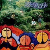 The Ladybug Transistor - The Albemarle Sound