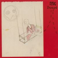 Smog - Strayed