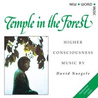 David Naegele - Temple In The Forest