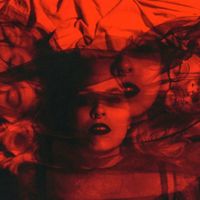 Dlina Volny - Whatever Happens Next