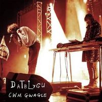 Datblygu - Cwm Gwagle
