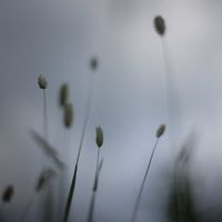 Peter Broderick - Float