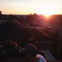 The Hard Aches - Pheromones