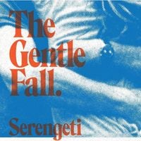 Serengeti - the gentle fall