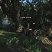 Sarah Davachi - Cantus, Descant