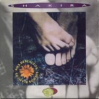 Shakira - Pies Descalzos, Sue&ntilde;os Blancos
