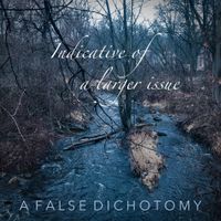 A False Dichotomy - Indicative of a Larger Issue