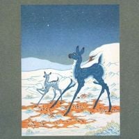 Tortoise & Bonnie 'Prince' Billy - The Brave and the Bold