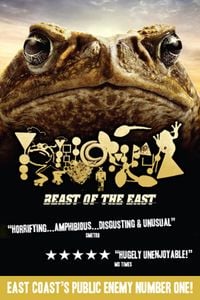 Phyllomedusa - Beast of the East