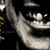 Sponge - Wax Ecstatic