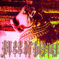 Bull of Heaven - 118: The Chosen Priest and Apostle of Infinite Space (Fan Excerpts)