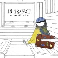 A Small Bird - In Transit