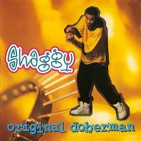 Shaggy - Original Doberman