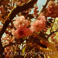 A False Dichotomy - Absence