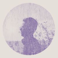 Owen Pallett - Lewis Takes Off His Shirt