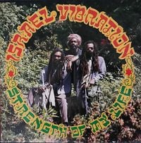 Israel Vibration - Strength Of My Life