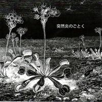 LSD March - 突然炎のごとく [Suddenly, Like Flames]
