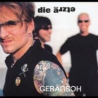 Die &Auml;rzte - Ger&auml;usch