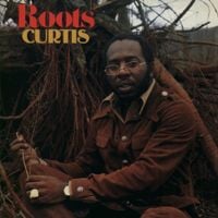 Curtis Mayfield - Roots