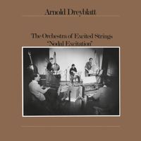 Arnold Dreyblatt / The Orchestra Of Excited Strings - Nodal Excitation