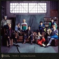 SUPER JUNIOR - I Think U