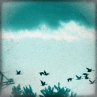 Heaven's Tea - Parade