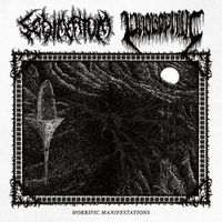 Sedimentum / Phobophilic - Horrific Manifestations